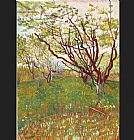 Vincent Van Gogh Canvas Paintings - Cherry Tree